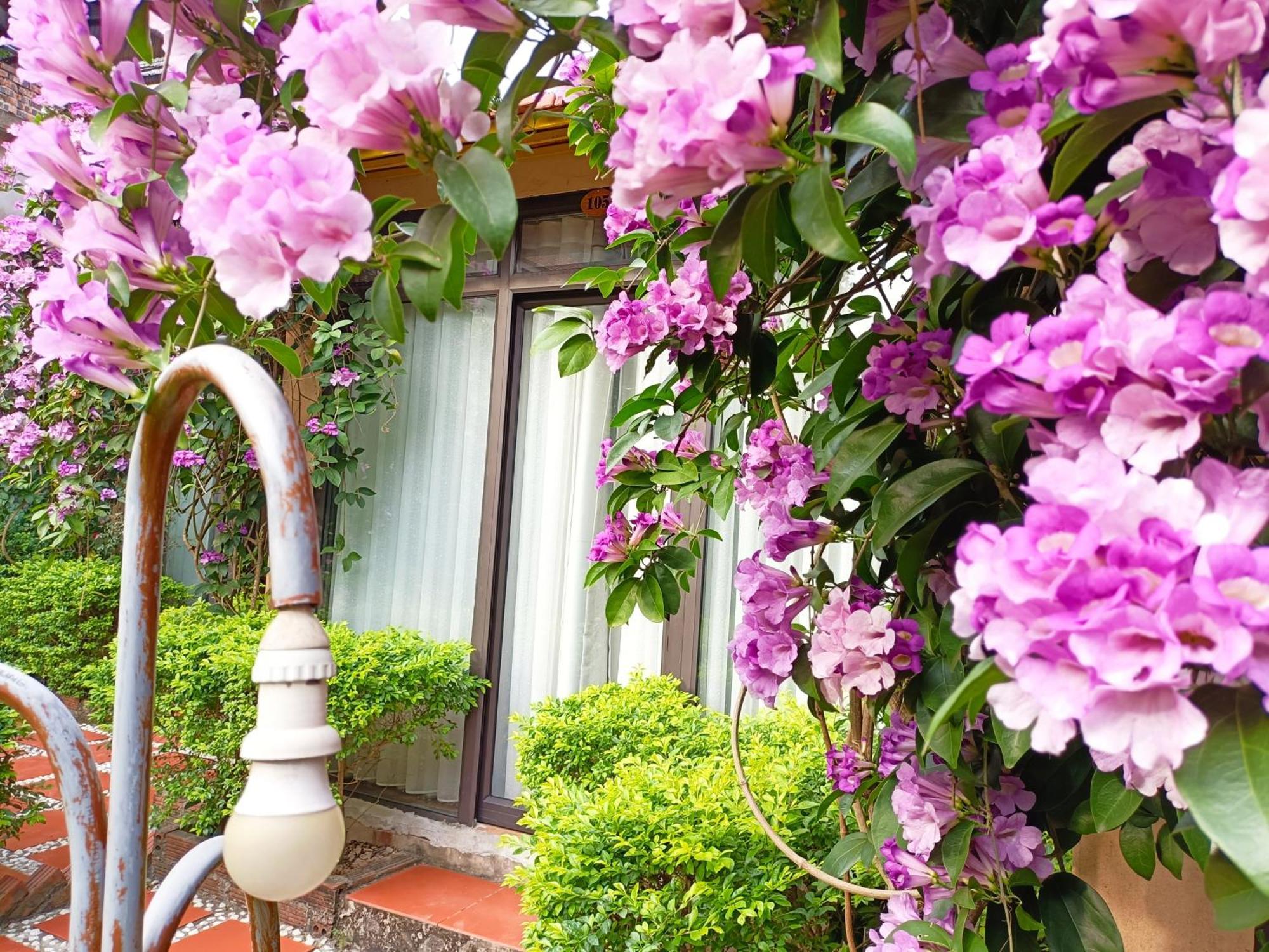 Tam Coc Sunshine Homestay Ninh Binh Exterior photo
