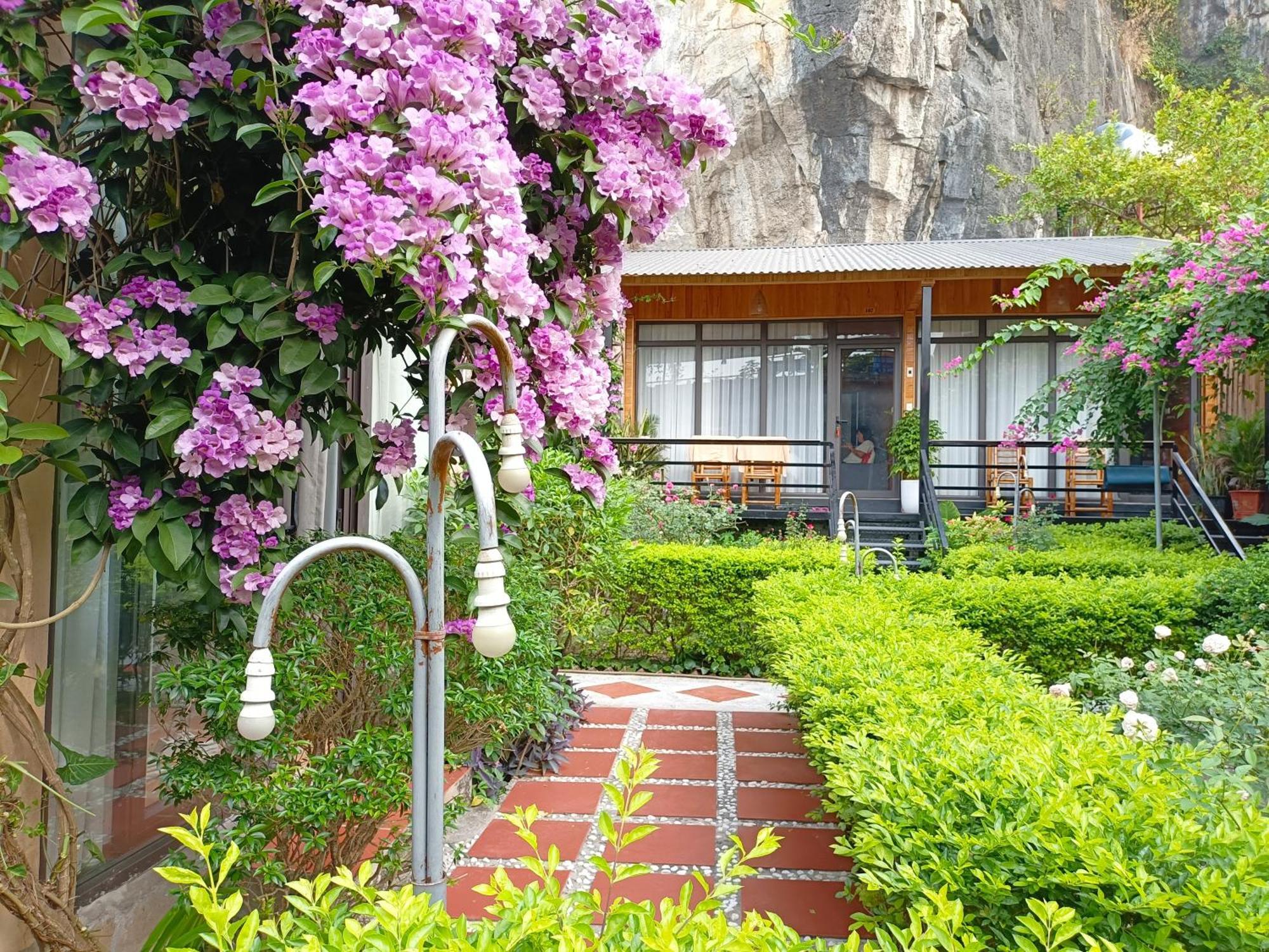 Tam Coc Sunshine Homestay Ninh Binh Exterior photo