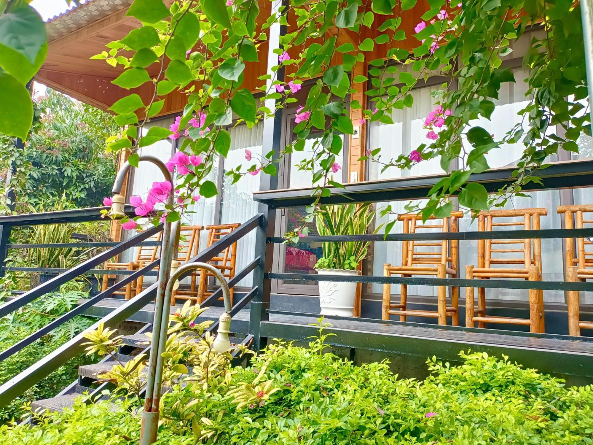 Tam Coc Sunshine Homestay Ninh Binh Exterior photo
